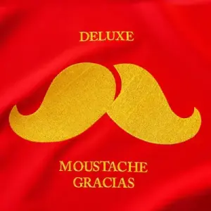 Illustration : Moustache Gracias