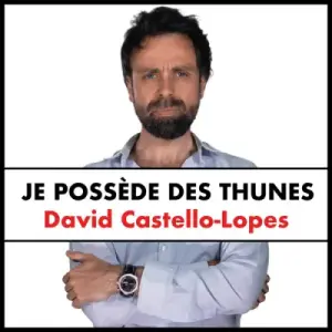 Illustration : Je possède des thunes